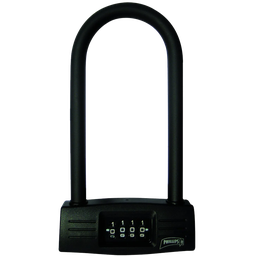 [MX3472] CAND. PHILLIPS BICIGANCHO ANE