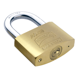 [MX1263] CAND. PHILLIPS MOD AS-50